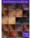 Hochpigmentierte Farbe, gedacht für dunkles Haar, Kastanienblond 380