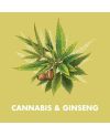 Shea Moisture Cannabis Lush Length Conditioner 384ml