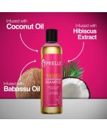 Mielle Babassu Conditioning Shampoo 240ml