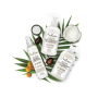 Shea Moisture Coconut Oil Daily Hydration Shampoo 384ml
