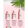 Shea Moisture Coconut Oil Daily Hydration Shampoo 384ml