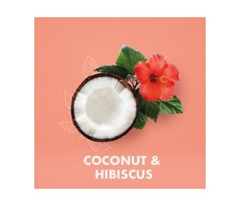 Kokosnuss und Hibiskus