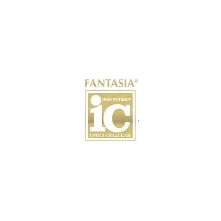 Fantasia IC